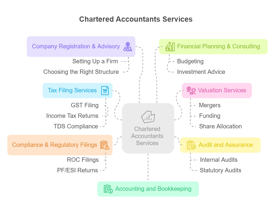 Chartered Accountants Services