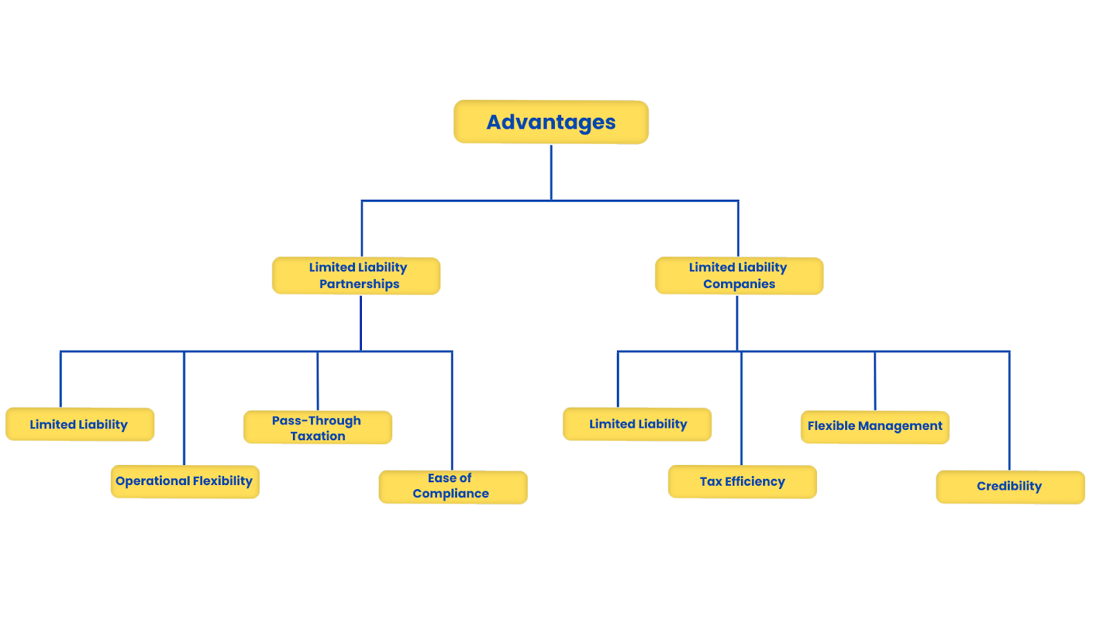 advantages of choosing the right structure for your business